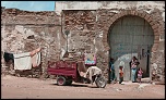 -img_8203.jpg