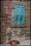 -img_8190.jpg