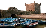 -img_8242.jpg