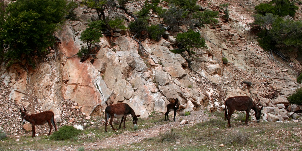 -img_8371.jpg