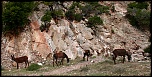 -img_8371.jpg