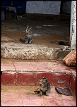 -img_8434.jpg