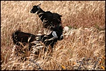 -img_8346.jpg