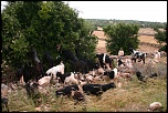 -img_8352.jpg