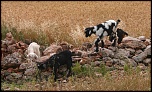 -img_8355.jpg