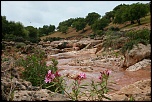 -img_8359.jpg