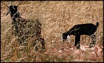 -img_8345.jpg