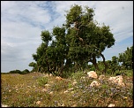 -img_8336.jpg