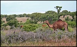 -img_8333.jpg