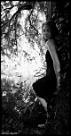 IMG 0740r