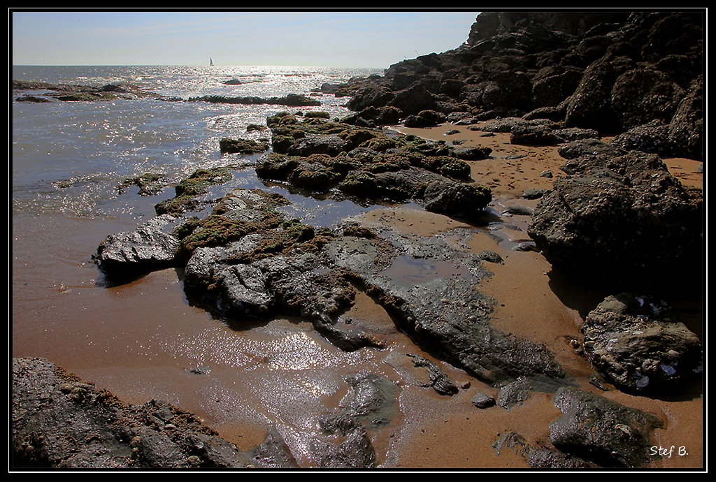 SaintMarie-sur-Mer