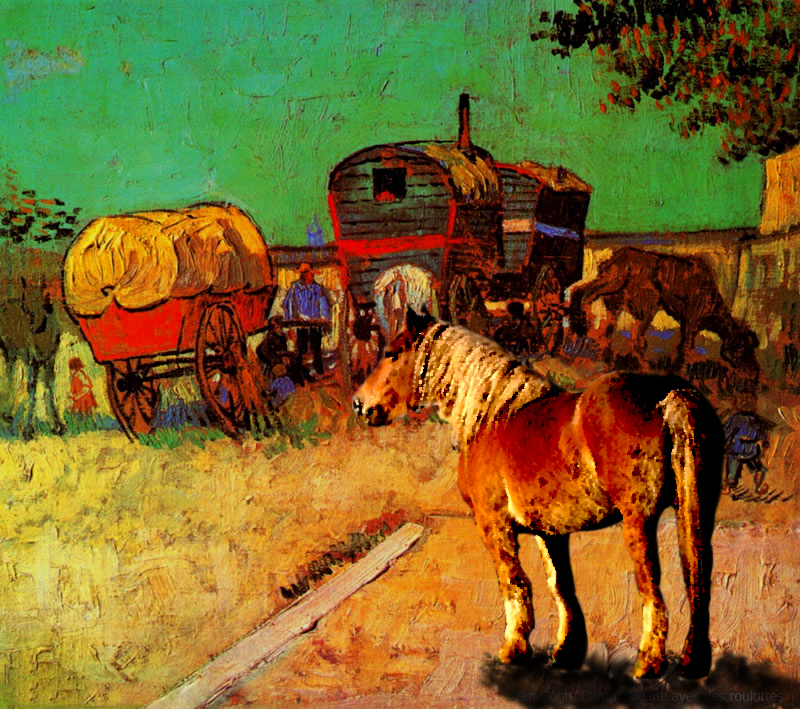 -van_gogh_camp_tzigane.jpg