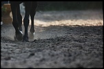 Diffuseur-img_6634.jpg