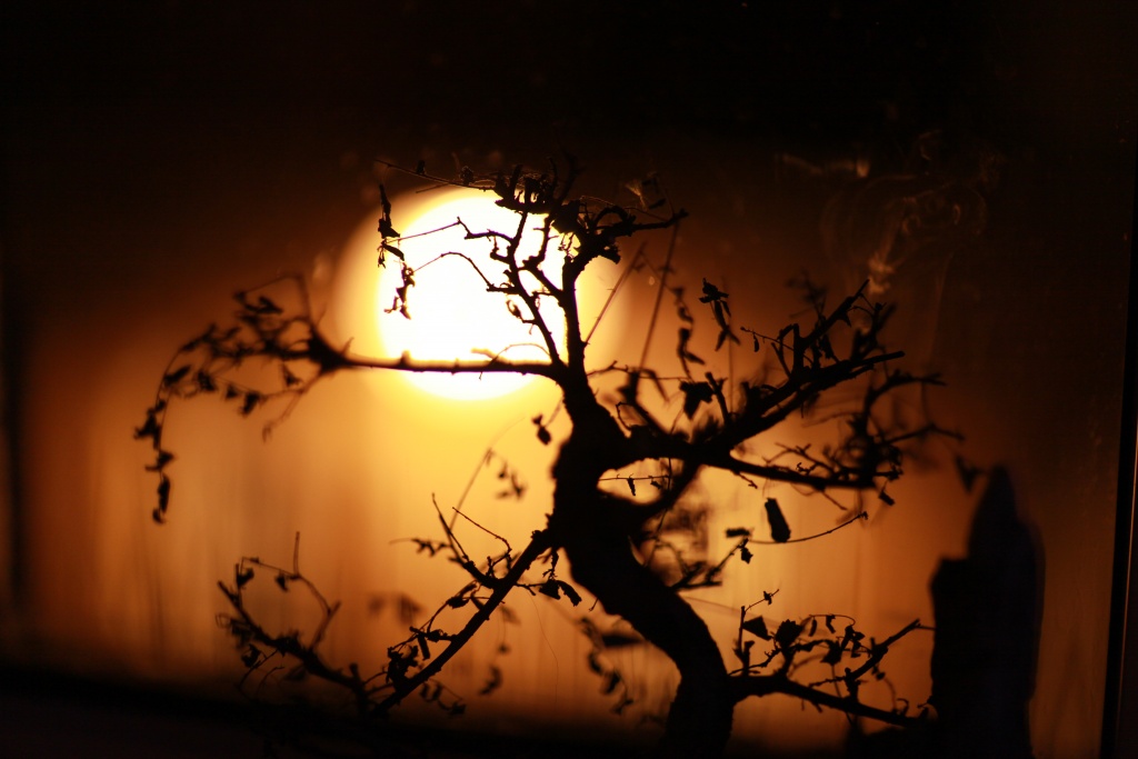 Diffuseur-img_9077.jpg