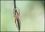 -img_7399000.jpg