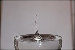 IMG 0250