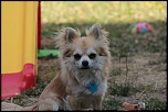 -img_0078.jpg
