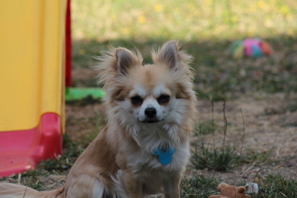 -img_0078.jpg