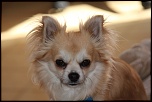 -img_0084.jpg