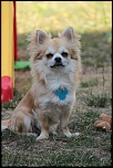 -img_0079.jpg