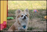 -img_0077.jpg