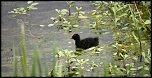 IMG 5834