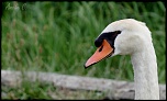 IMG 5807