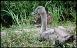IMG 5809