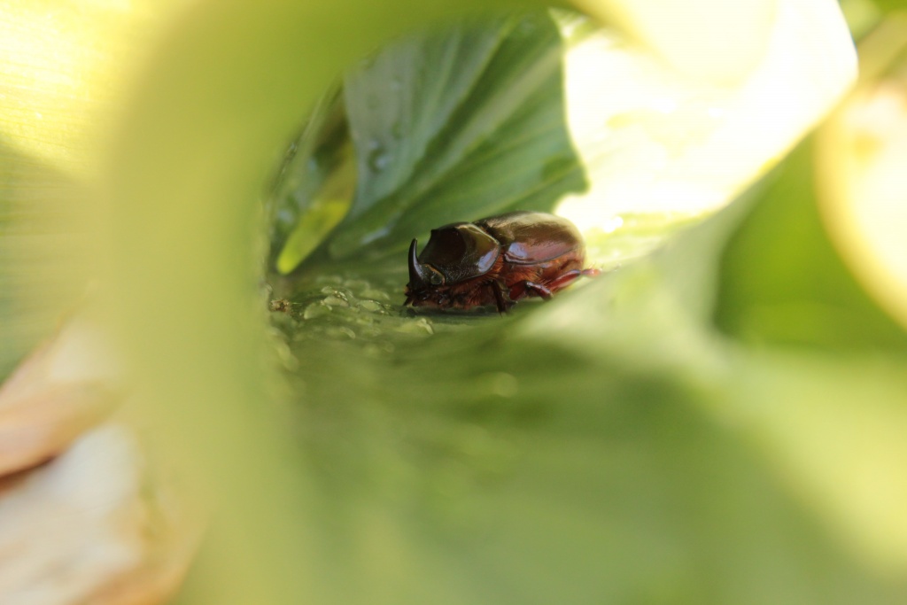 -img_0348.jpg
