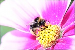 -img_3964.jpg