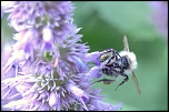 -img_3957.jpg