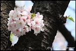 Macro avec 18-55 du kit-1783.jpg