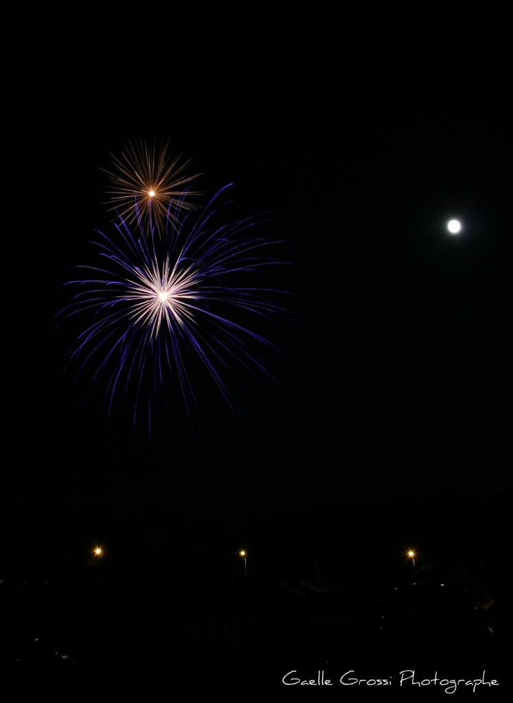 Au secour &#33; Je suis nouveau....-feu-artifice-baud-022tc.jpg