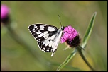 DON-img_4933.jpg