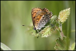DON-img_4899.jpg