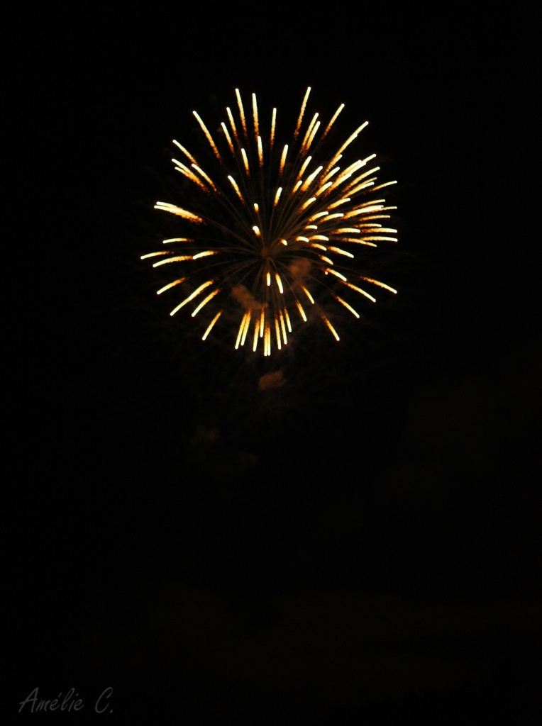 -img_5978.jpg