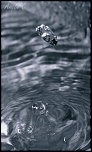 -img_5664.jpg