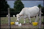 IMG 6095