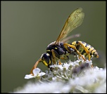 -img_3265_03.jpg