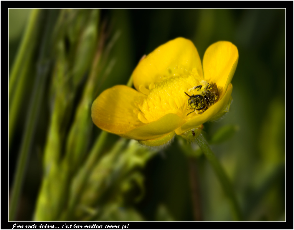 -img_1120.jpg
