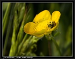 -img_1120.jpg
