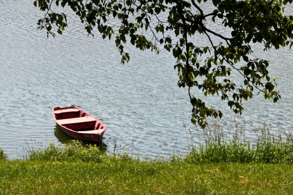 -barque11.jpg