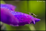 20110523 10 7D