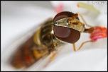 20110624 06 7D