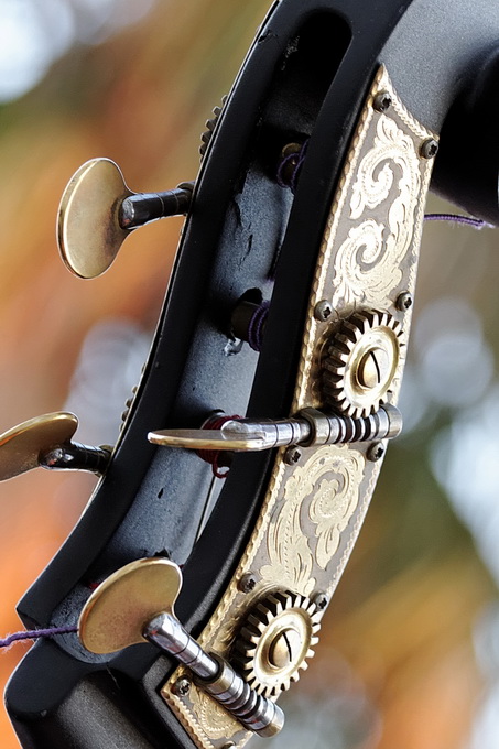 Speedlight EX 380-jazz09.jpg