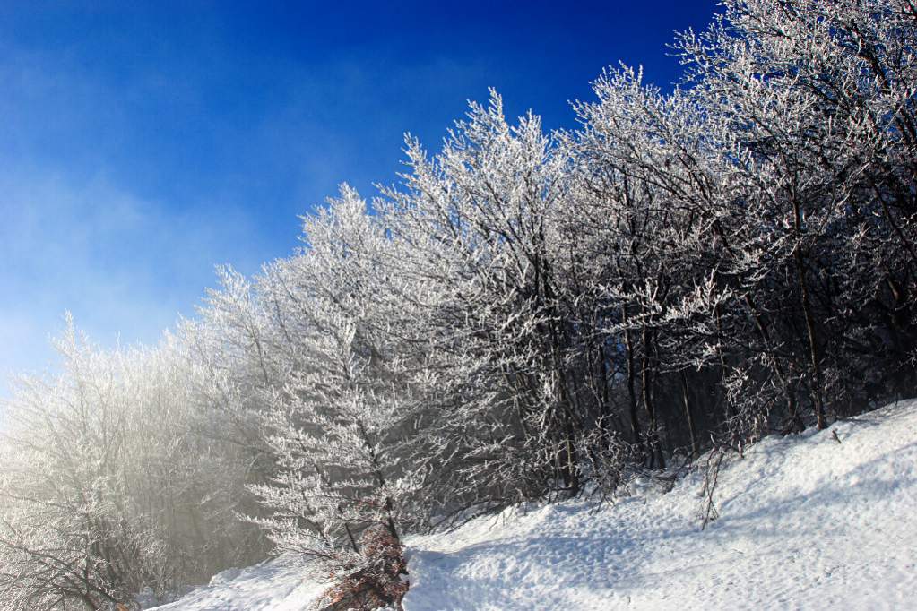grand ballon