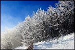 grand ballon