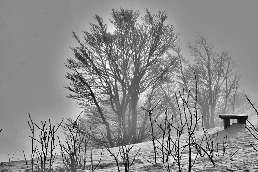 grand ballon noir et blanc