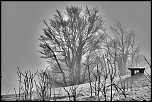 grand ballon noir et blanc