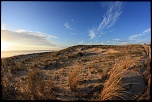 -img_3438.jpg